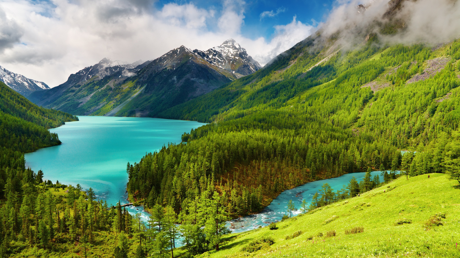 Top 100 ảnh nền phong cảnh đẹp đẹp nhất 2023  Wikipedia