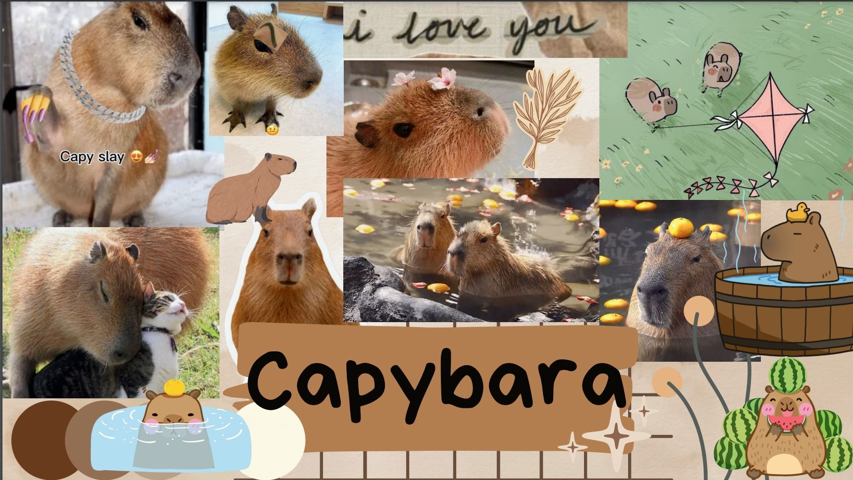 99+ hình nền Capybara cute 4K sắc nét cho điện thoại, laptop