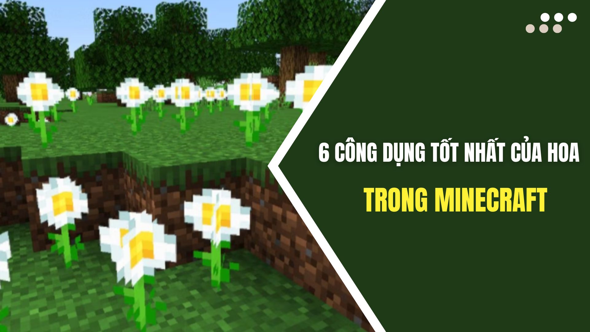 Minecraft là trò chơi kinh điển với nhiều tùy chọn sáng tạo. Bạn có muốn thử \'trồng\' một hòa mình hoa đẹp trong Minecraft không? Không những vậy, bạn còn có thể khai thác các công dụng tuyệt vời của hoa trong trò chơi này. Hãy xem hình ảnh để khám phá thêm những điều thú vị!