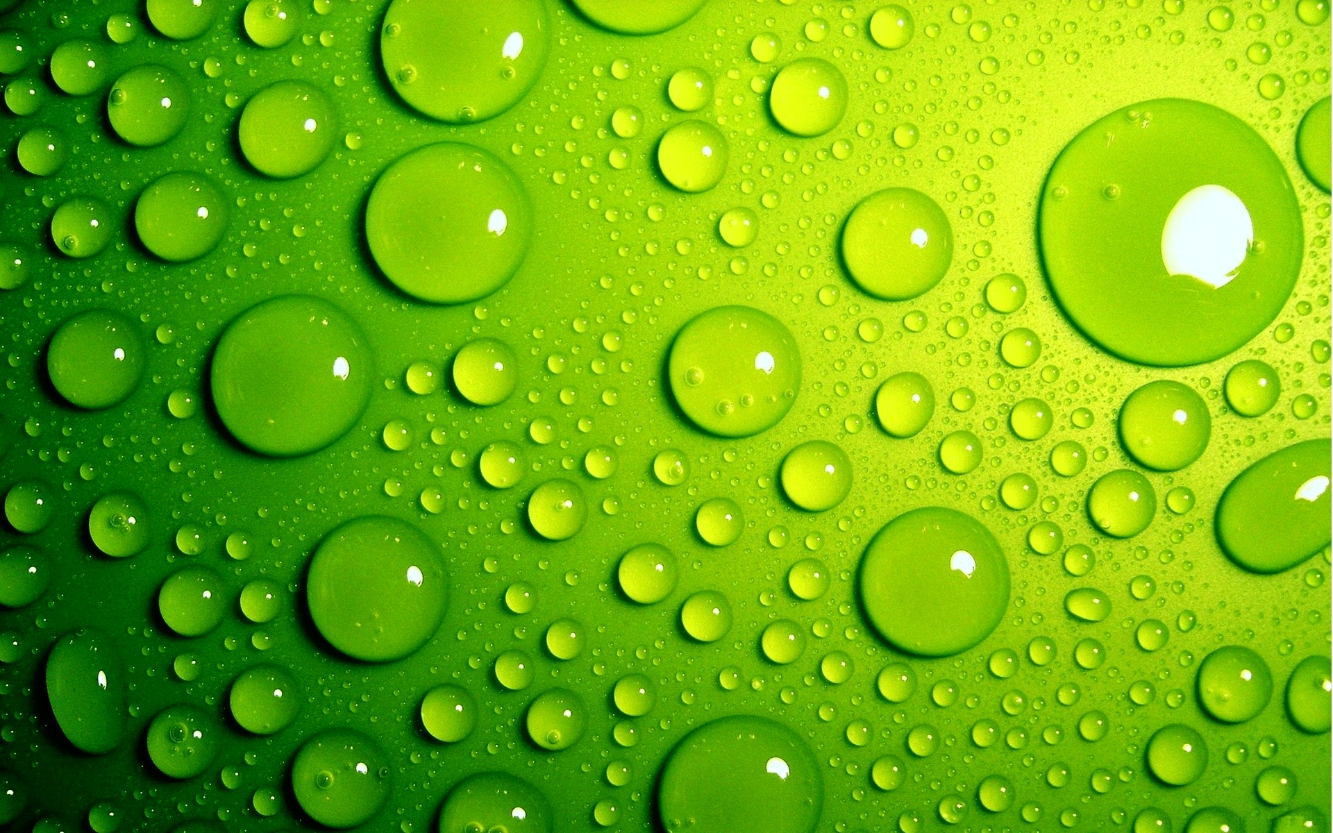 2500 Green HD Wallpapers and Backgrounds