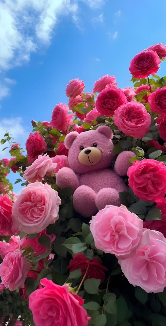 Top 99+ hình nền iPhone 16 Series 4K siêu đẹp và nét