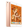 may-tinh-bang-apple-ipad-mini-wi-fi-64gb-gold-muqy2za-1