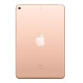 may-tinh-bang-apple-ipad-mini-wi-fi-64gb-gold-muqy2za-2