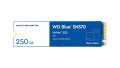 Ổ cứng SSD WD Blue SN570 250GB NVMe PCIe Gen3x4  (WDS250G3B0C)