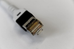 Cáp mạng Elecom đảm bảo băng tần 250 MHz (GM-LDGPYT/BK20)