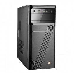 Case Golden Field X1
