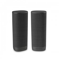 Loa Harman/ Kardon CITATION SURROUND