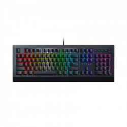 Bàn phím Razer Promo Cynosa V2 RZ03.03400100 R3M1