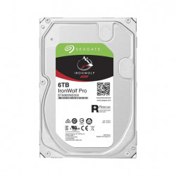 HDD Seagate Ironwolf Pro 6TB (3.5 inch, SATA3, 256MB Cache, 7200RPM) (ST6000NE000)