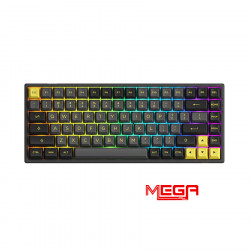Bàn phím cơ AKKO 3084B Plus Black & Gold (AKKO CS Jelly Purple switch)