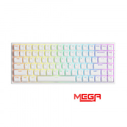 Bàn phím AKKO 3084 v2 RGB – White (Foam tiêu âm, Hotswap) AKKO CS Jelly Purple switch