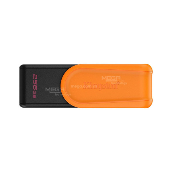 Usb 256GB Kingston Data Traveler Exodia S (DTXS/256GB)