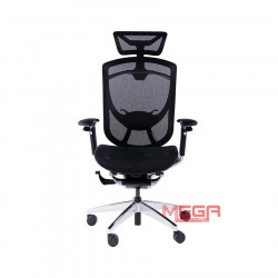 Ghế công thái học GTChair IFit Smile Ergonomic khung đen lưới đen