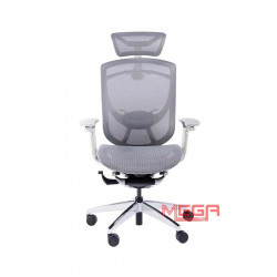 Ghế công thái học GTChair IFit Smile Ergonomic khung trắng lưới xám