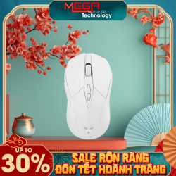 Chuột không dây Gaming Rapoo V300SE màu trắng ( USB, Wireless 2.4Ghz)