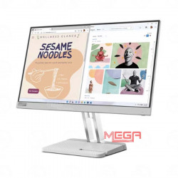 LCD Lenovo L22e-40 67AFKACBVN 21.5 inch (1920x1080) FHD VA, 75Hz, 4ms, màu xám ( VGA, HDMI)