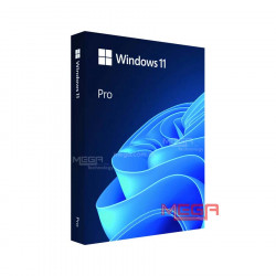 Phần mềm Microsoft Win Pro 11 64bit Eng USB FPP (HAV-00163)