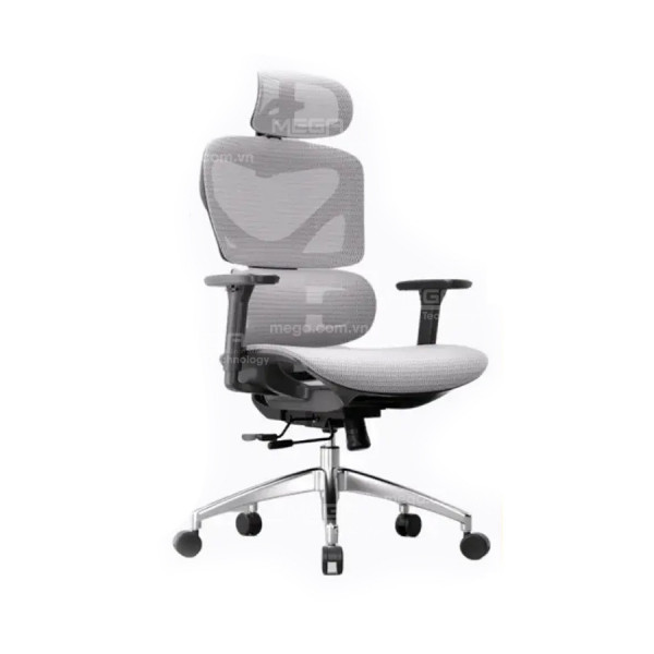 Ghế công thái học Manson Iris Wintex Khung Xám, Lưới xám