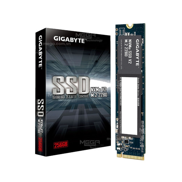 Ổ cứng SSD Gigabyte G3NVMEV2256G V2 256GB (NVMe PCIe/ Gen3x4 M2.2280/ 3200MB/s/ 1200MB/s)