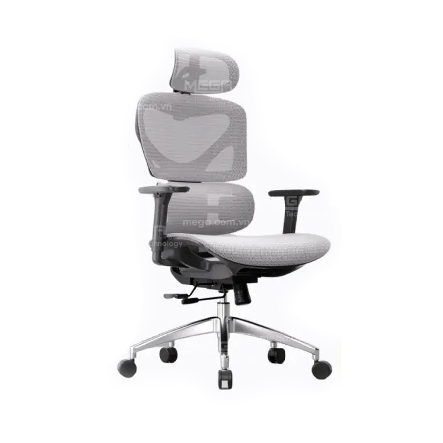Ghế công thái học Manson Iris Wintex Khung Xám, Lưới xám