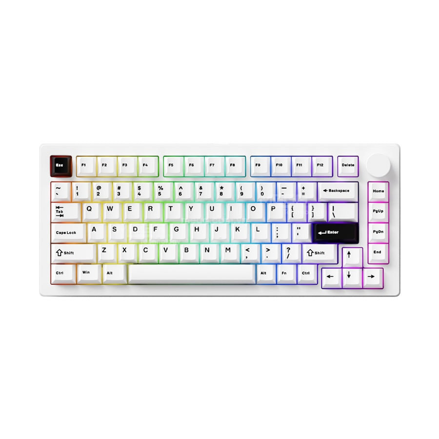 Bàn phím cơ AKKO MonsGeek M1 V5 Black on white Mirror Switch