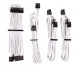 bo-day-nguon-custom-corsair-premium-type-4-gen-4-white