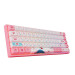ban-phim-co-akko-3068-world-tour-tokyo-r2-rgb-bluetooth-5.0-gateron-yellow-switch-5