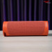 loa-di-dong-sony-bluetooth-xb23rc-e-5