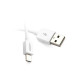sac-pisen-i-charger-2a-micro-ts-c122-micro-3