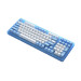 ban-phim-co-akko-acr98-blue-akko-jelly-blue-switch-2
