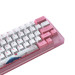 ban-phim-co-akko-acr59-pink-akko-jelly-pink-switch-4
