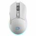 chuot-khong-day-dareu-em901-rgb-trang-1