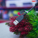 tai-nghe-gaming-zidli-fcore-fh6u-black-6