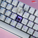 ban-phim-co-khong-day-newmen-gm610-rgb-led-pbt-bt5.0-brown-switch-5