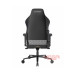 ghe-gaming-dxracer-craft-pro-stripes1-black-white-gclcf23ltaemaze-3