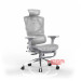 ghe-cong-thai-hoc-sihoo-m90b-ergonomic-xam-co-ke-chan-2