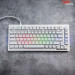 Bàn phím cơ AKKO 5075B Plus White (akko switch v3 - Cream Yellow Pro)