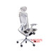 ghe-cong-thai-hoc-gtchair-ifit-smile-ergonomic-khung-trang-luoi-xam-4