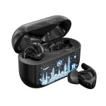 tai-nghe-bluetooth-alpha-works-aw-flex100sgn-2