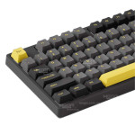 ban-phim-co-akko-3098b-plus-black-gold-fairy-silent-1