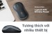 Chuột không dây Logitech B175 Wireless