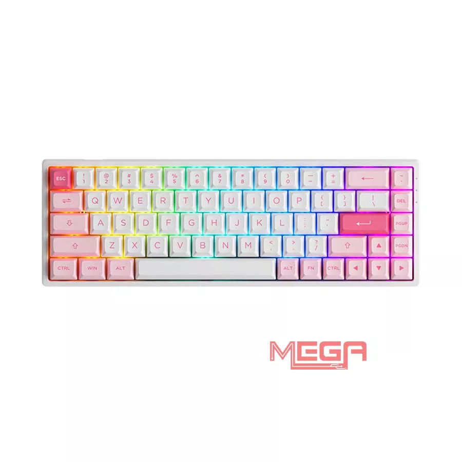 Bàn phím cơ AKKO 3068B Plus Prunus Lannesiana