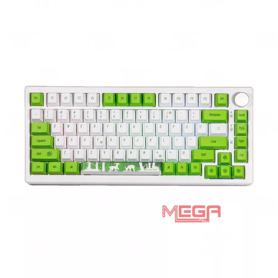 Bàn phím cơ Fuhlen H75S Saola 3 Mode