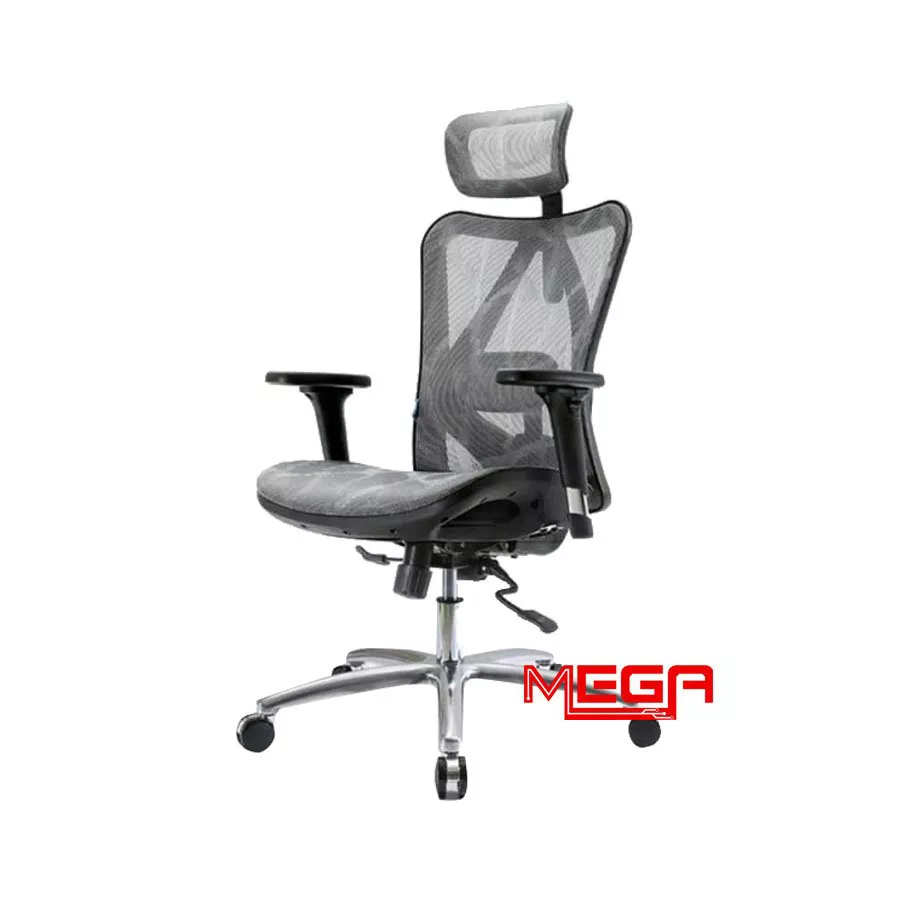 Ghế công thái học Sihoo M57-N102 Đen - Xám