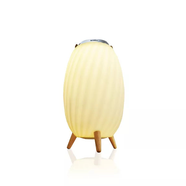 Loa Soundmax Bluetooth AL11