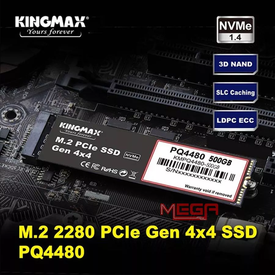 Ổ cứng SSD Kingmax PQ4480 500GB